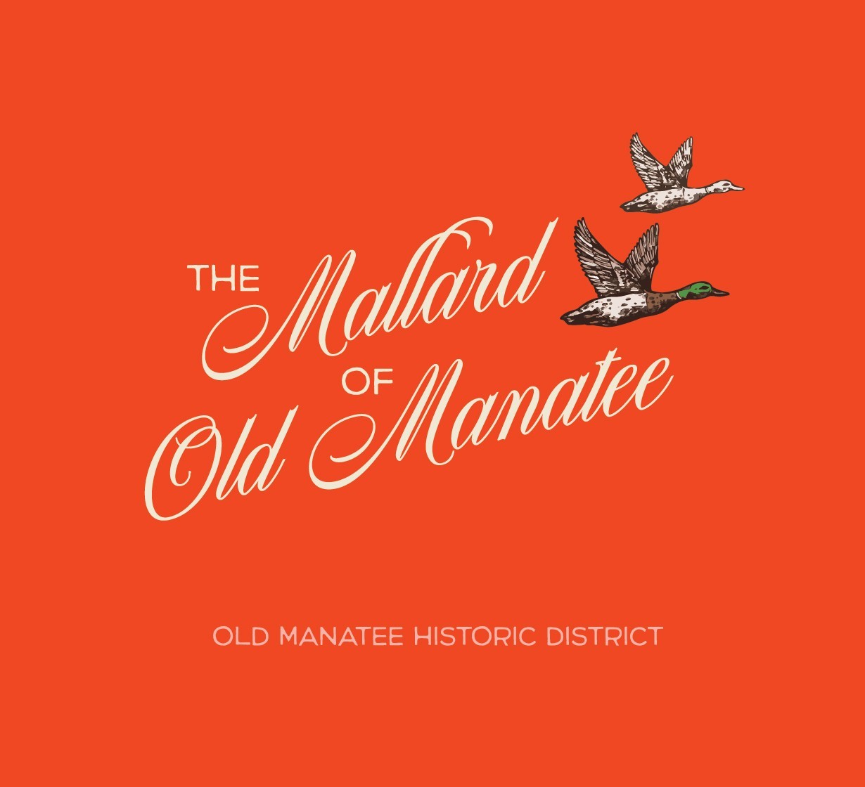 The Mallard of Old Manatee