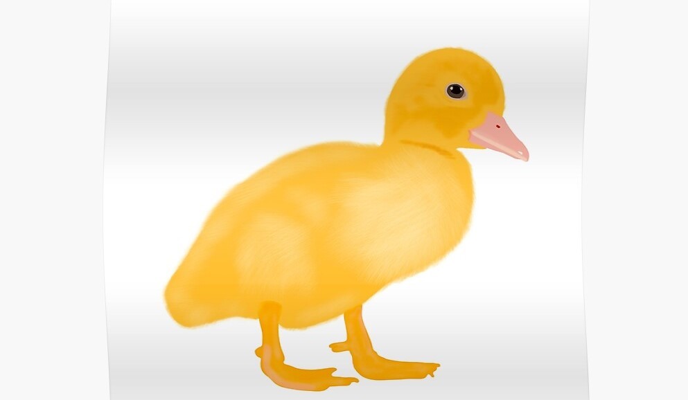 Baby Got Quack