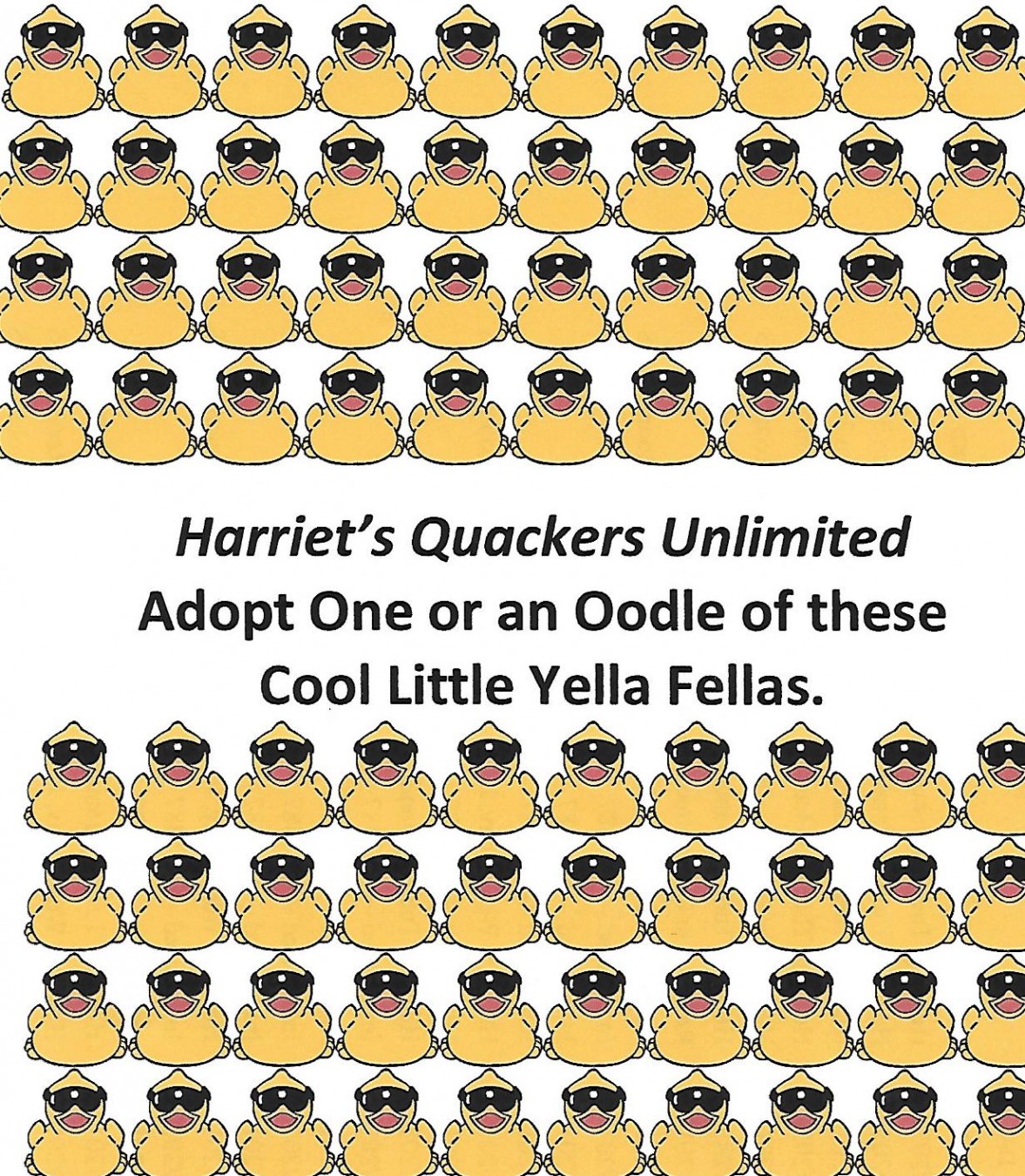 Harriet's Quackers Unlimited