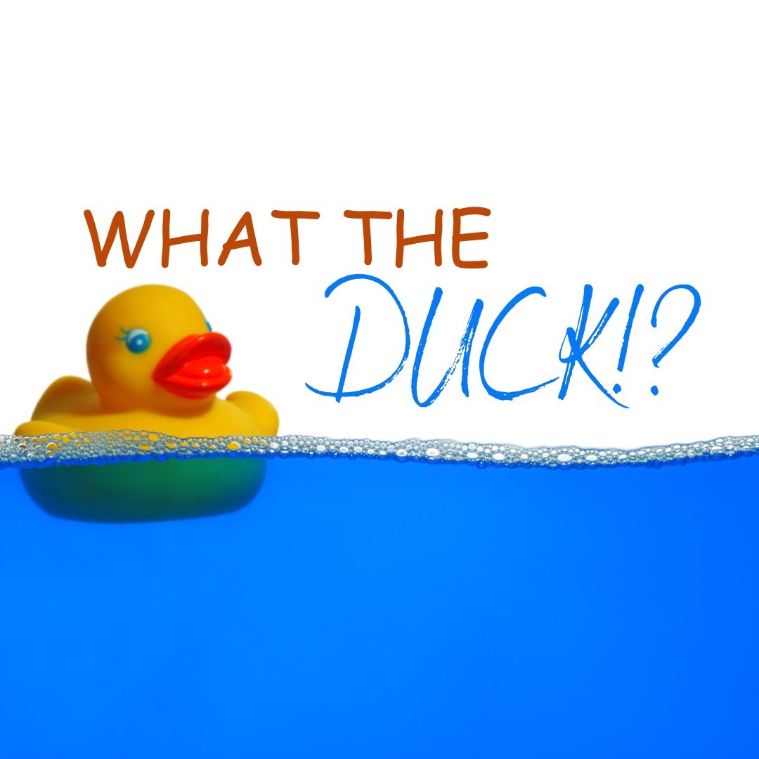 What the Duck