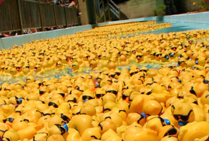 Quackers for Alex