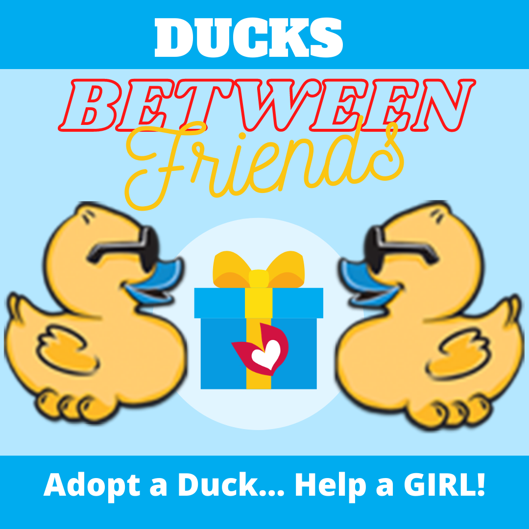 Ducks Between Friends