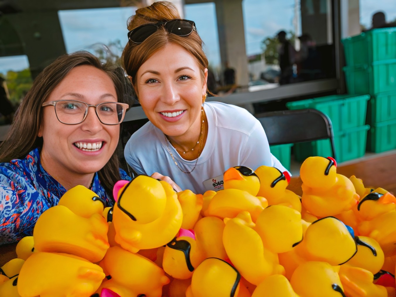 Who Let the Ducks Out? (Board Challenges)