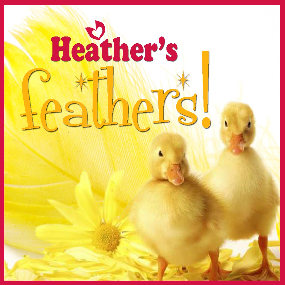 Heather's Feathers! (Board Challenges)