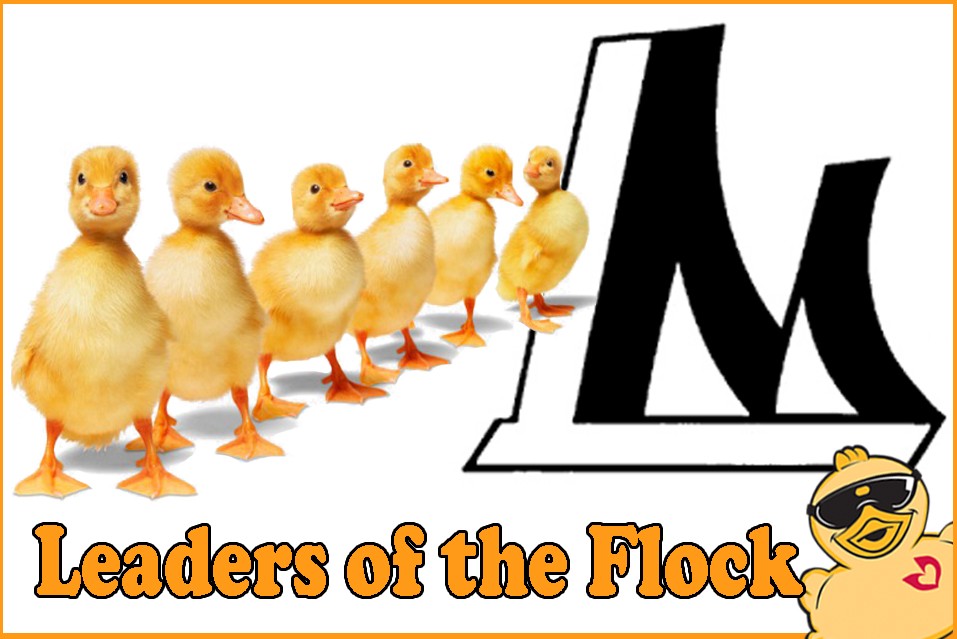 Leadership Manatee: Leaders of the Flock!