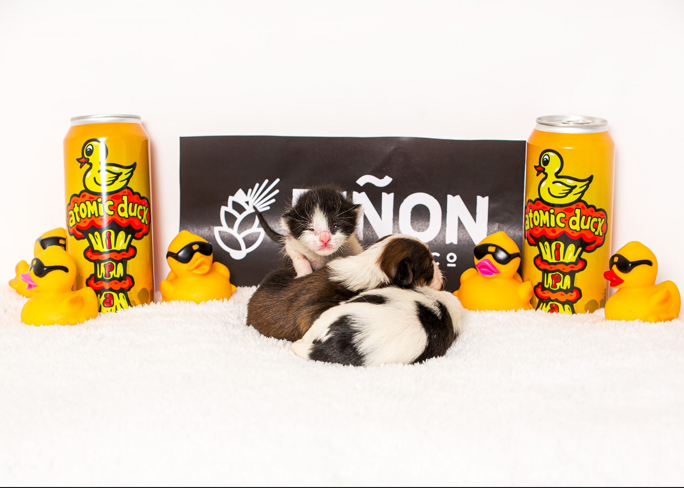 Thank you to our Plucky Partner Pinon Bottle Co!