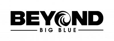 Beyond Big Blue