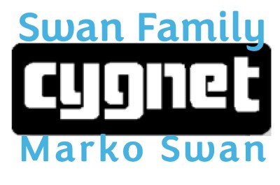 Swan Family Cygnet