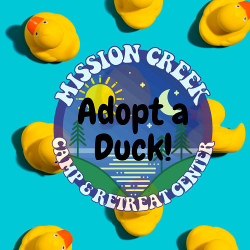 Mission Creek Ducks