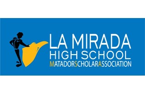 LMHS MSA