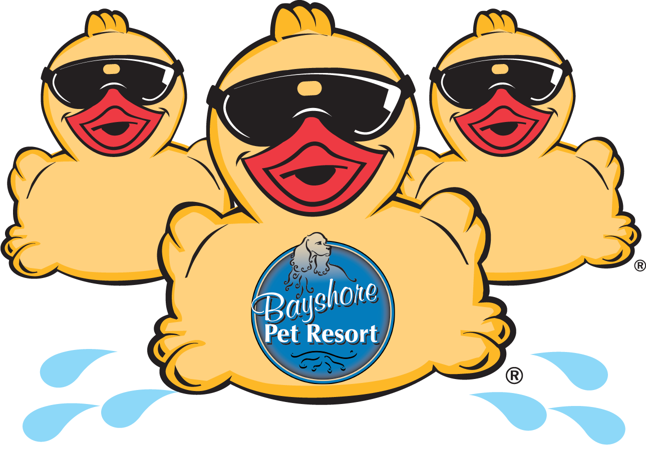 Bayshore Pet Resort