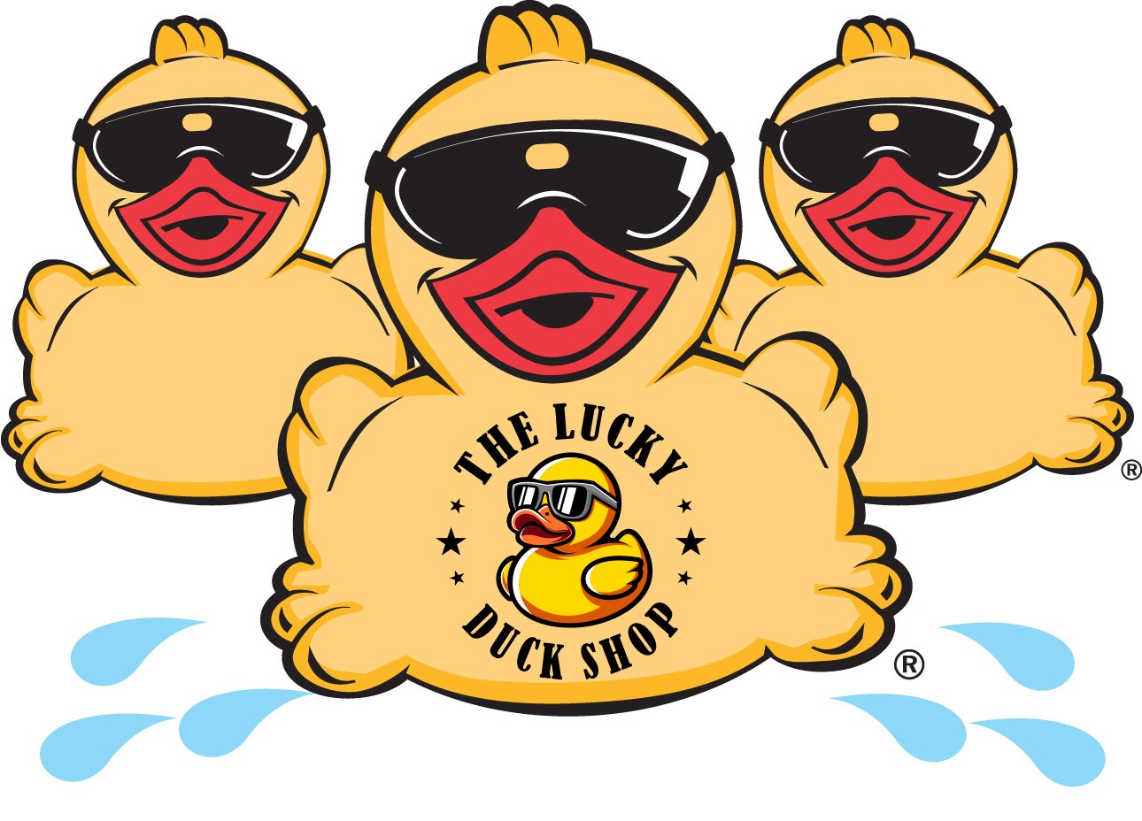The Lucky Duck Shop