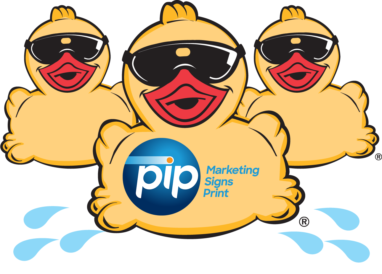 PIP - Marketing, Signs, Print