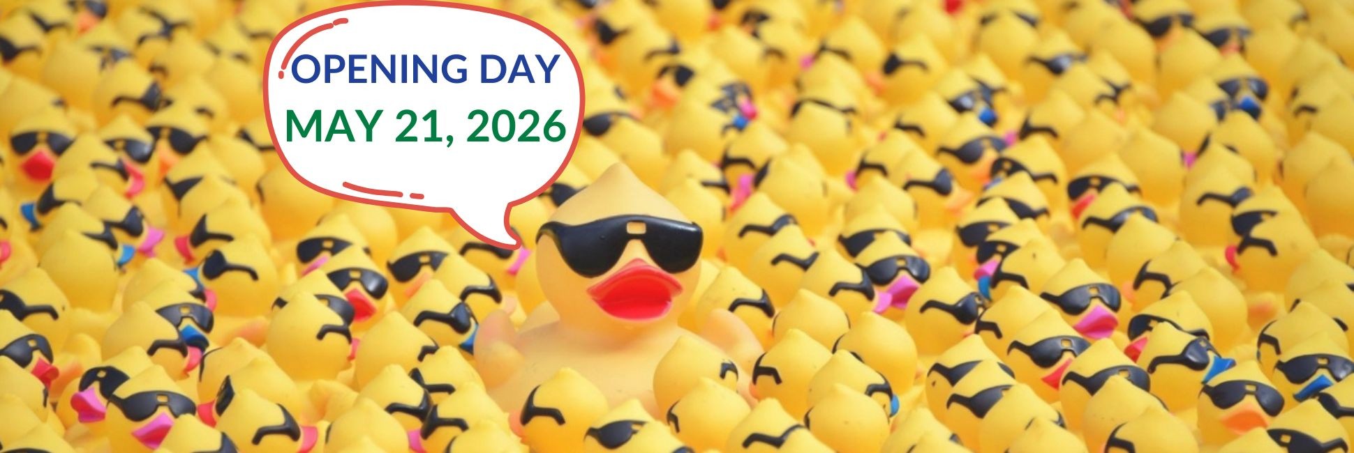 Adopt Your Ducks Starting May 21