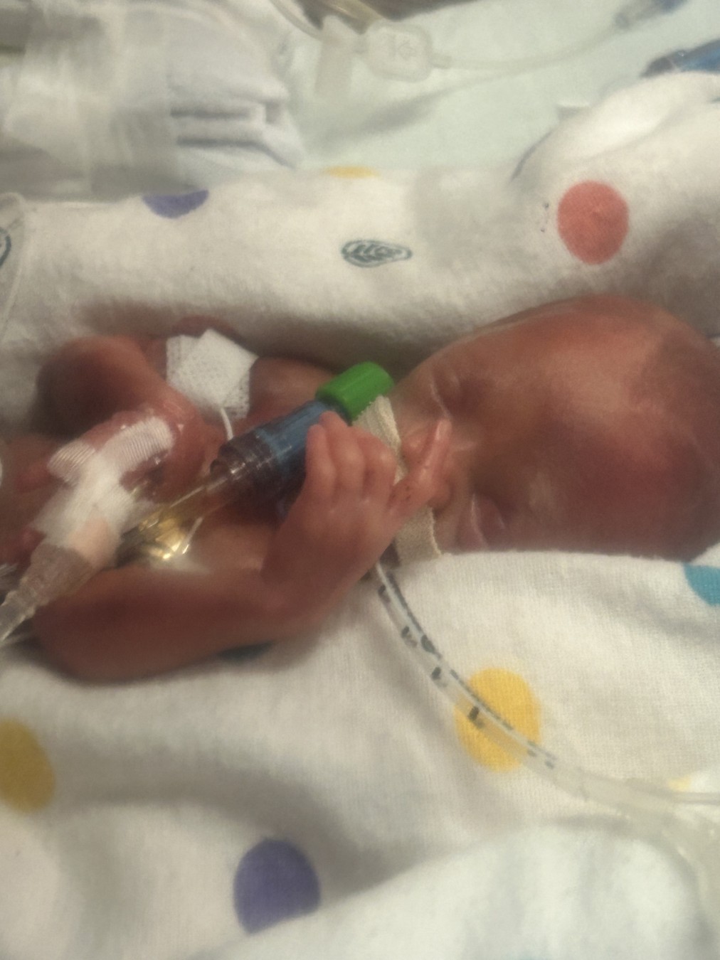 Matilda's Marvelous Mallards