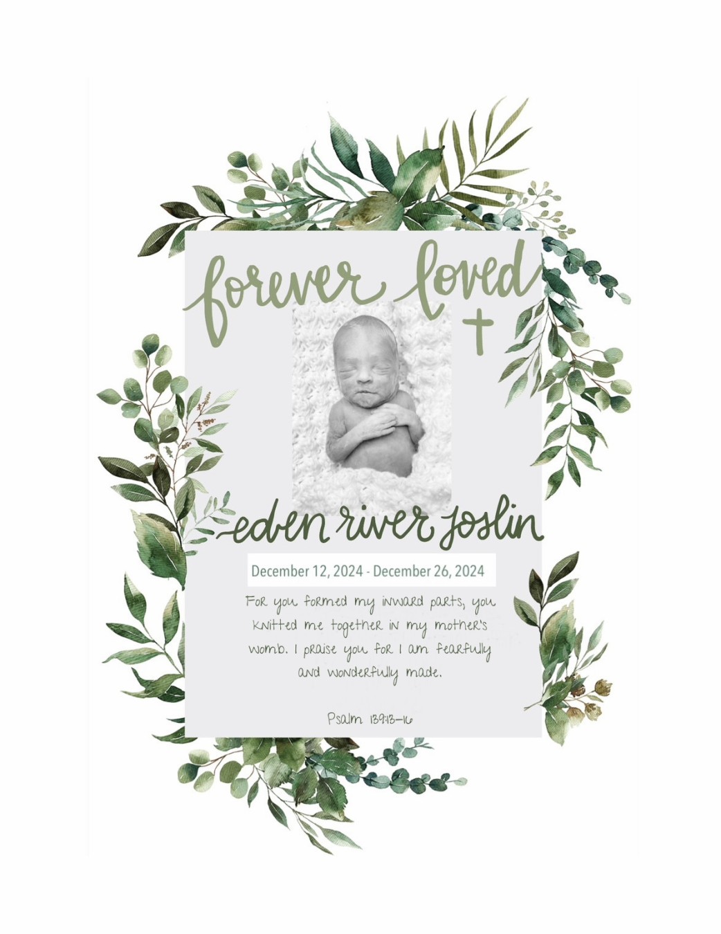 Eden River's Little Ducklings