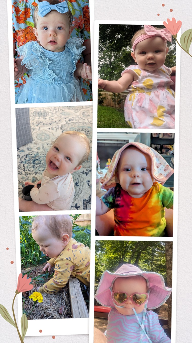Team Little Bug