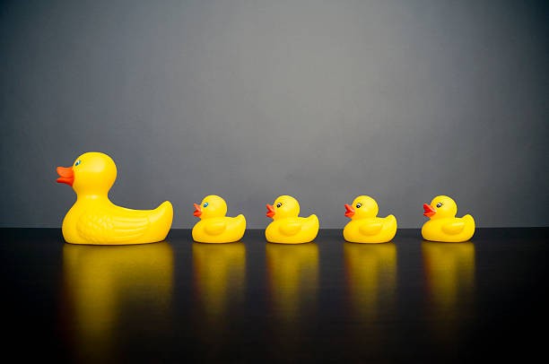 The Quacky Joe's
