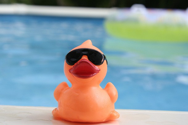 Kelly Jo's Quackers