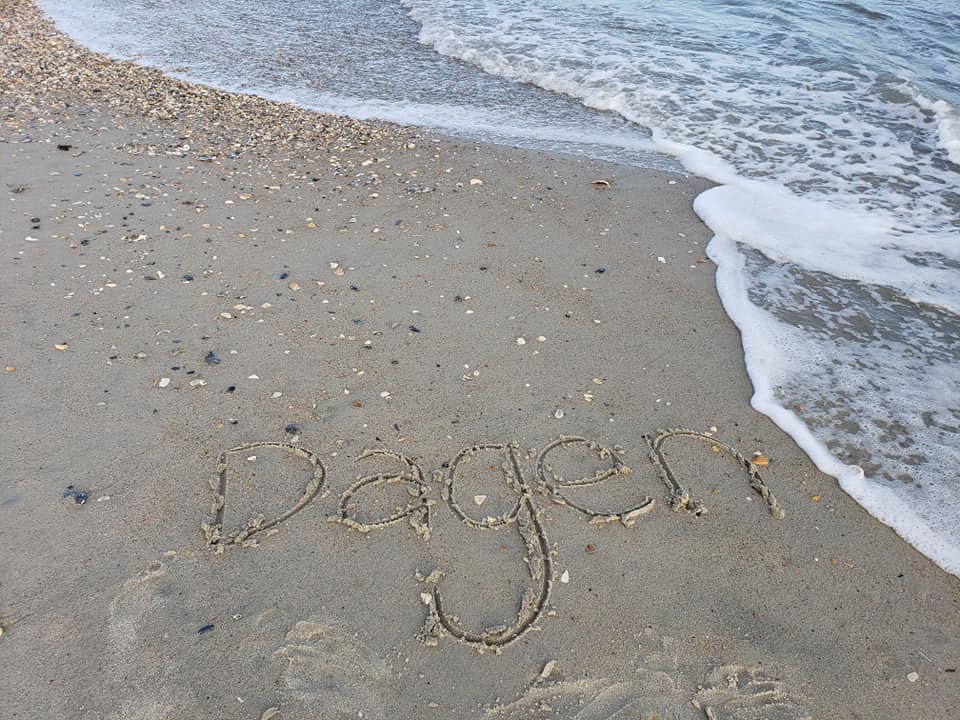 Dagen's Ducks