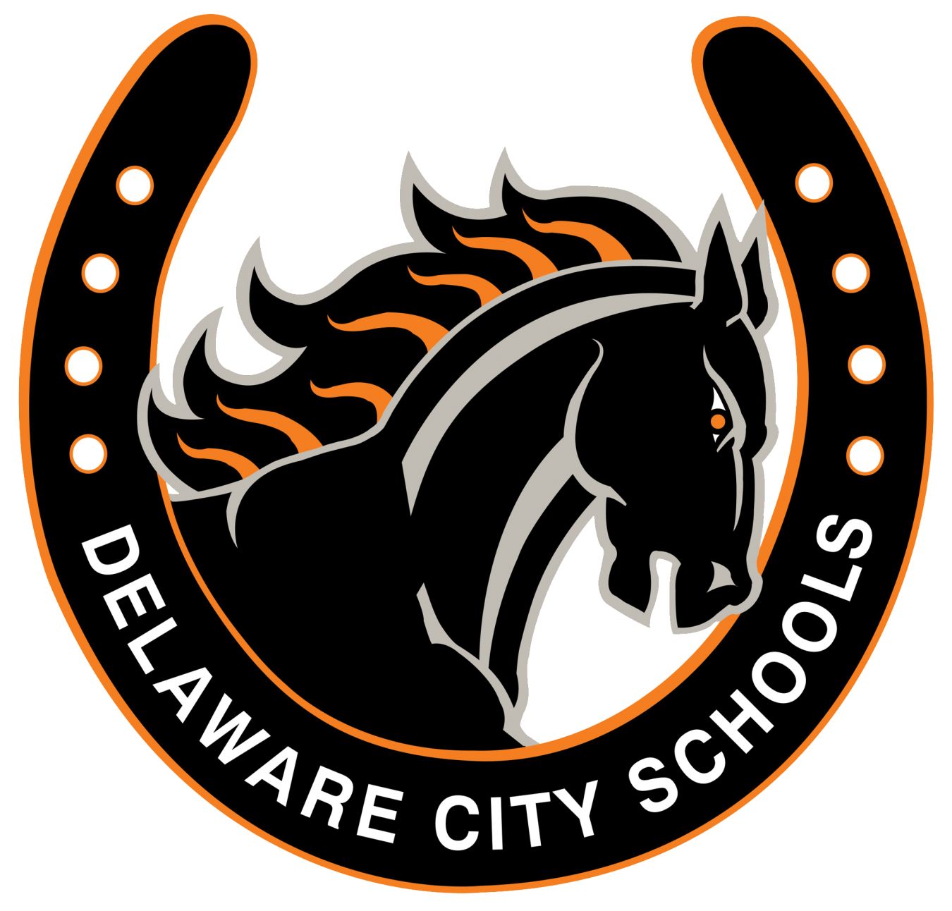 Delaware City Schools