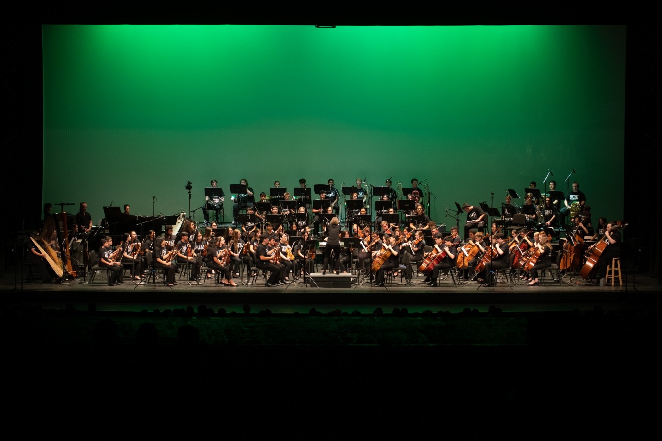 AFA Summer Music Festival Symphony Orchestra in concert at Miller Outdoor Theatre