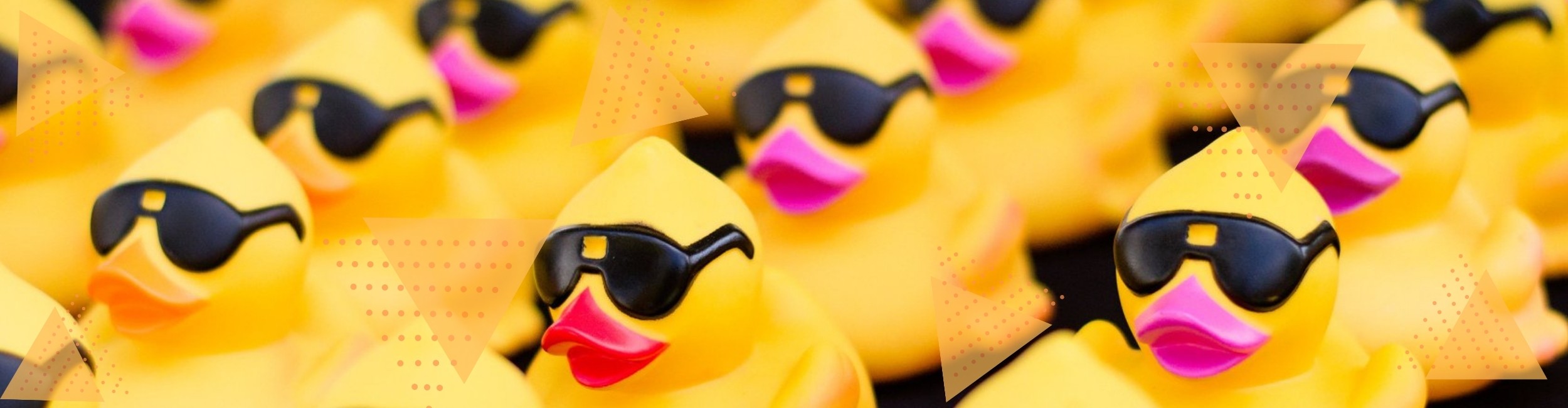 Adopt a Duck!