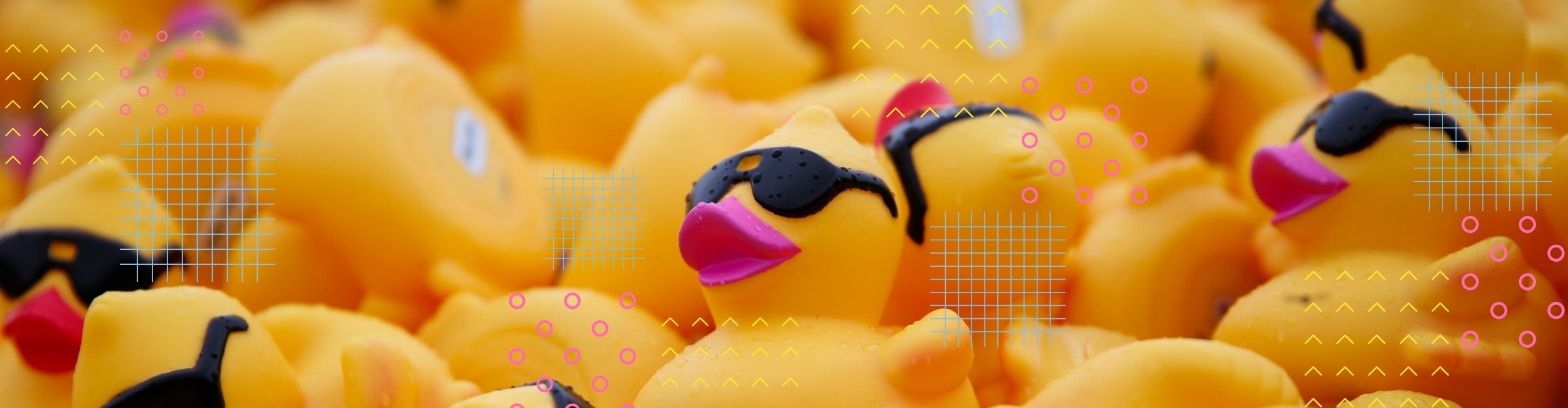 Adopt a Duck!