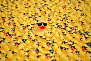 Team Rubber Duckies