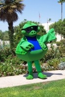 Tucker's Turtles