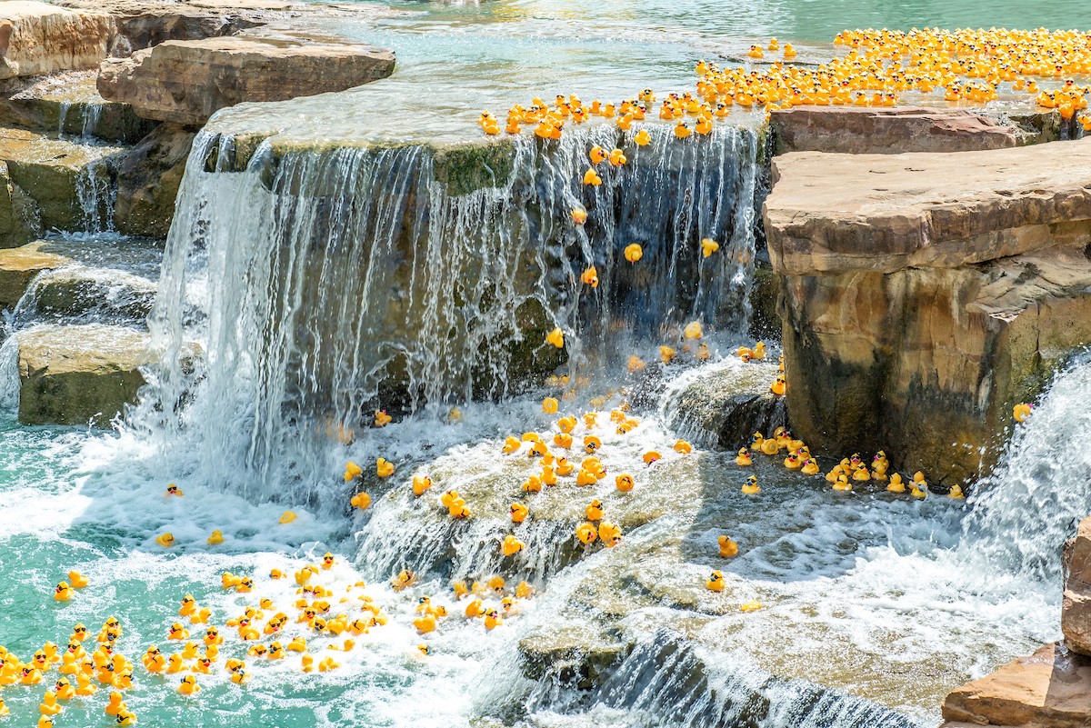 Cross Timbers Rotary Duck Derby