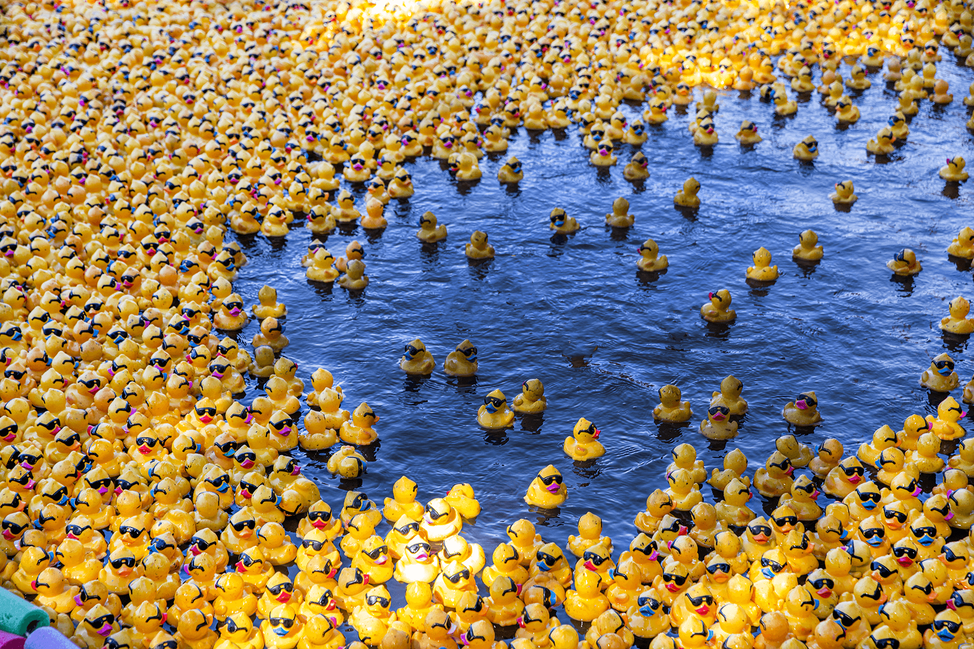 IT IS QUACKTASTIC!