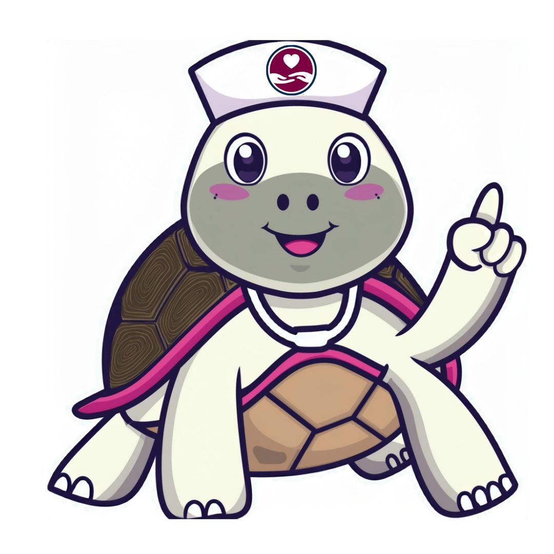 Team Shelby the Amada Turtle