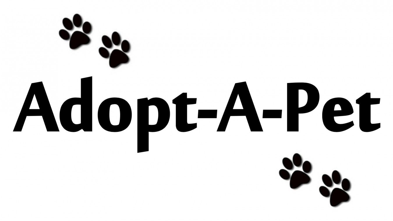 Adopt-A-Pet Crazy Critters