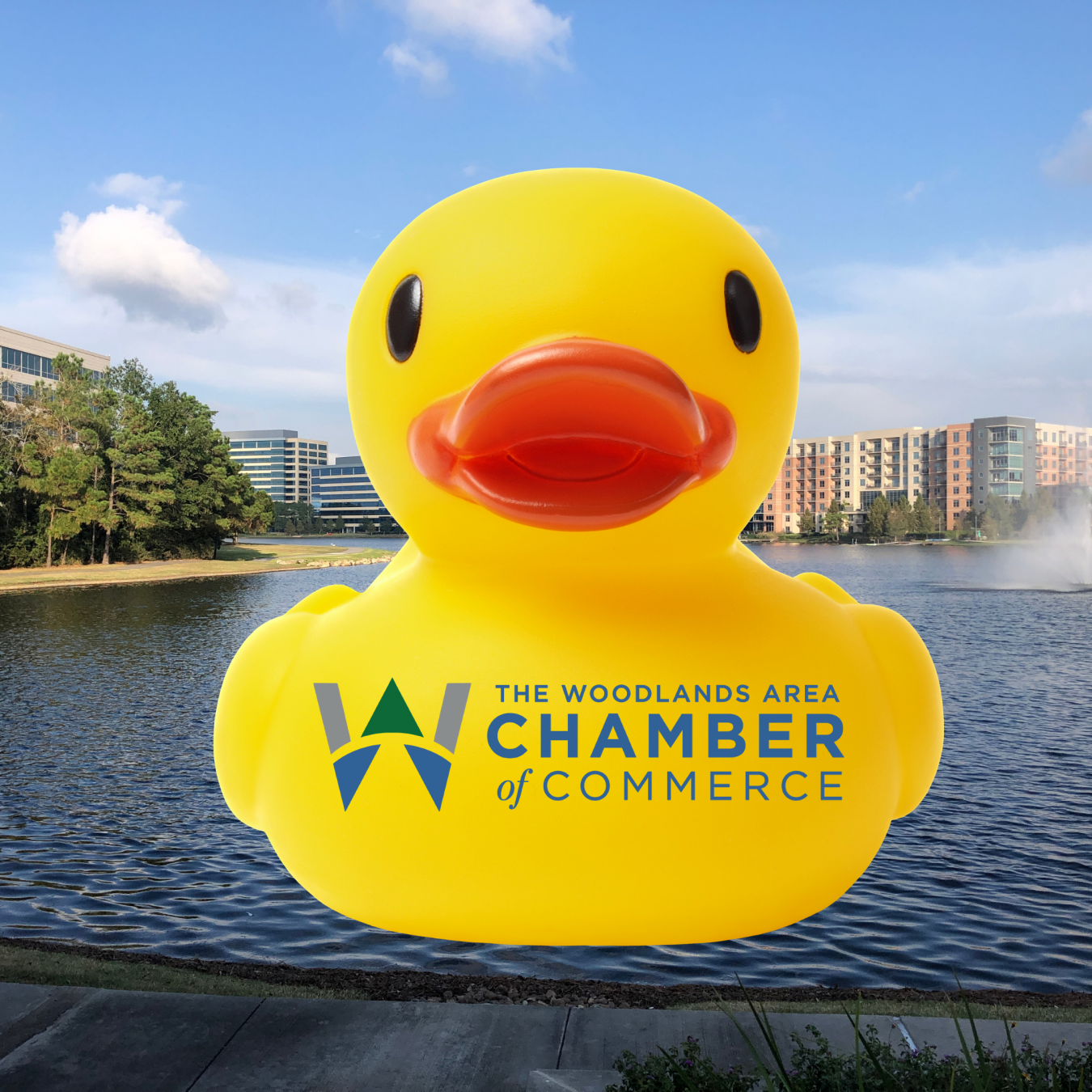 WACC Quacks (Woodlands Area Chamber of Commerce)