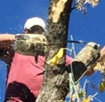 John Goodman Tree Service