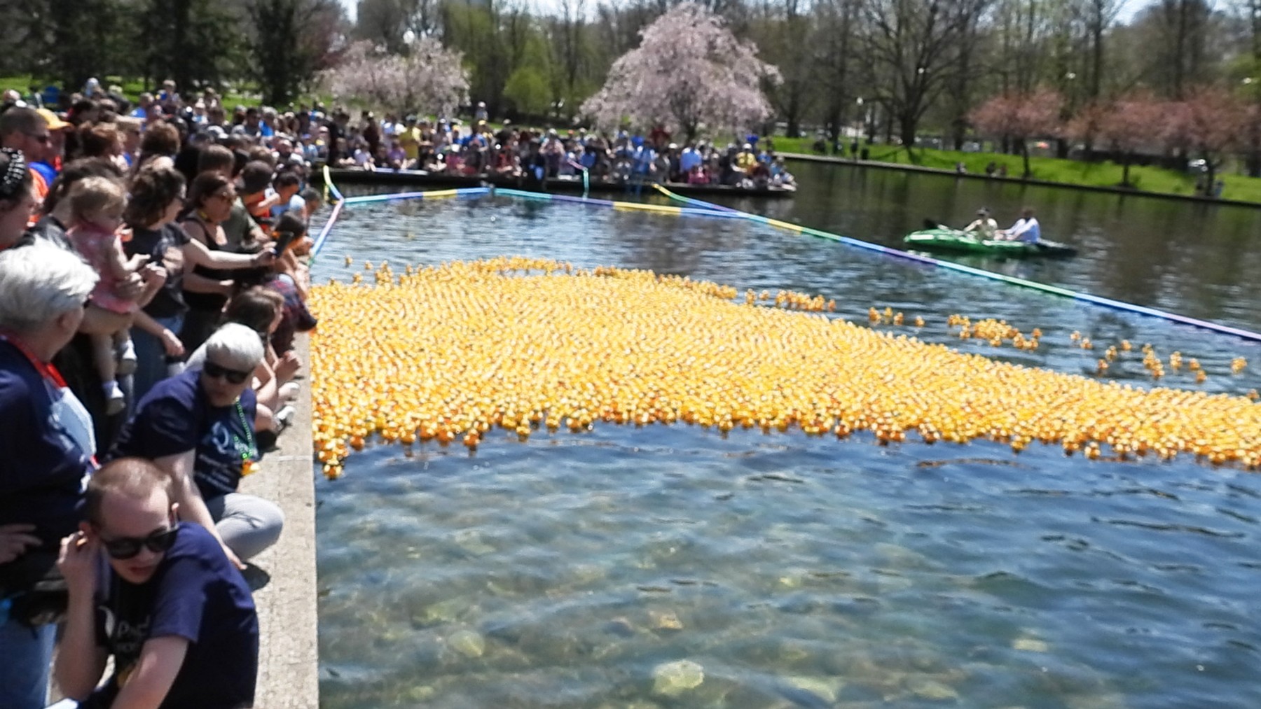 GET QUACKIN!