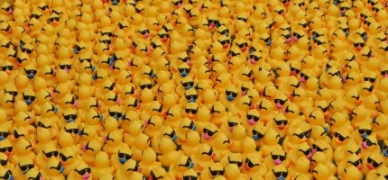 The Great Rubber Duck Splash