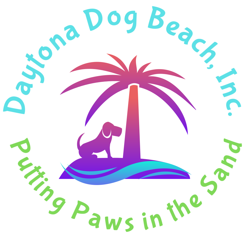 Daytona Dog Beach Ducks