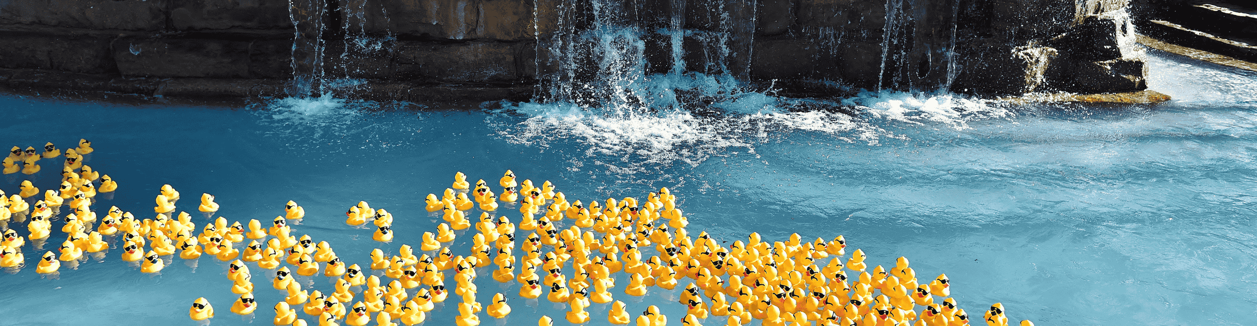 SO NO SENIOR GOES HUNGRY