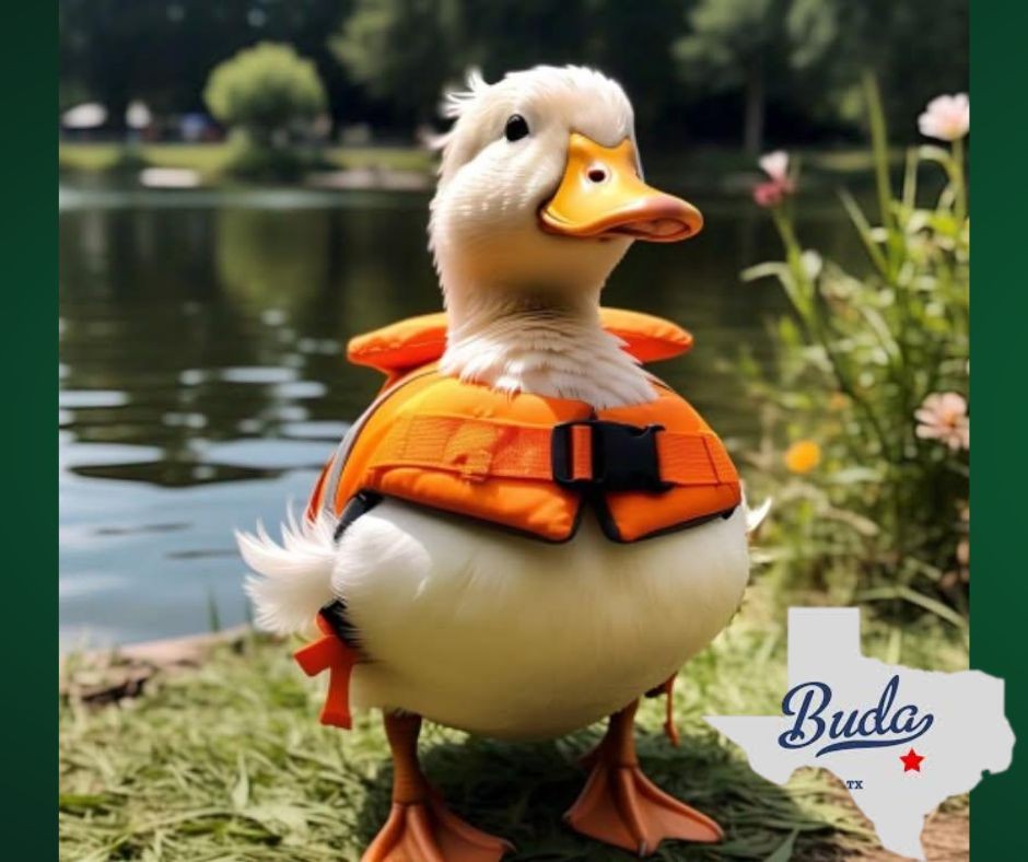 The Buda Wacky Quacks