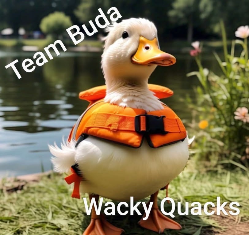 The Buda Wacky Quacks