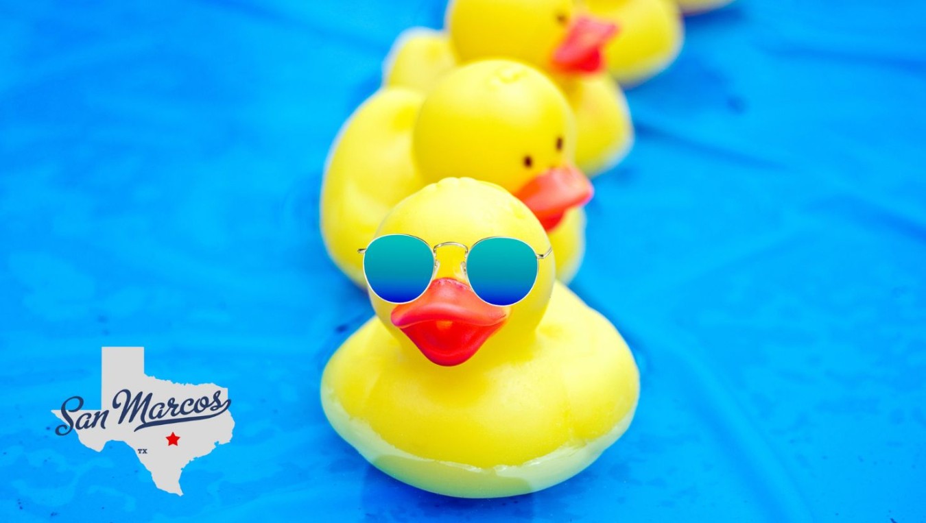 Fund The Flock
