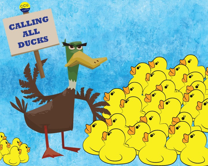Calling All Ducks
