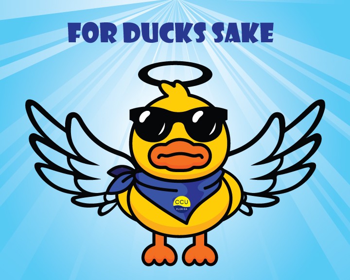 For Ducks Sake