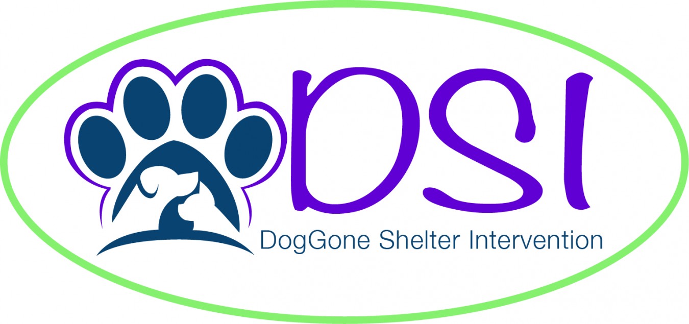 DogGone Shelter Intervention