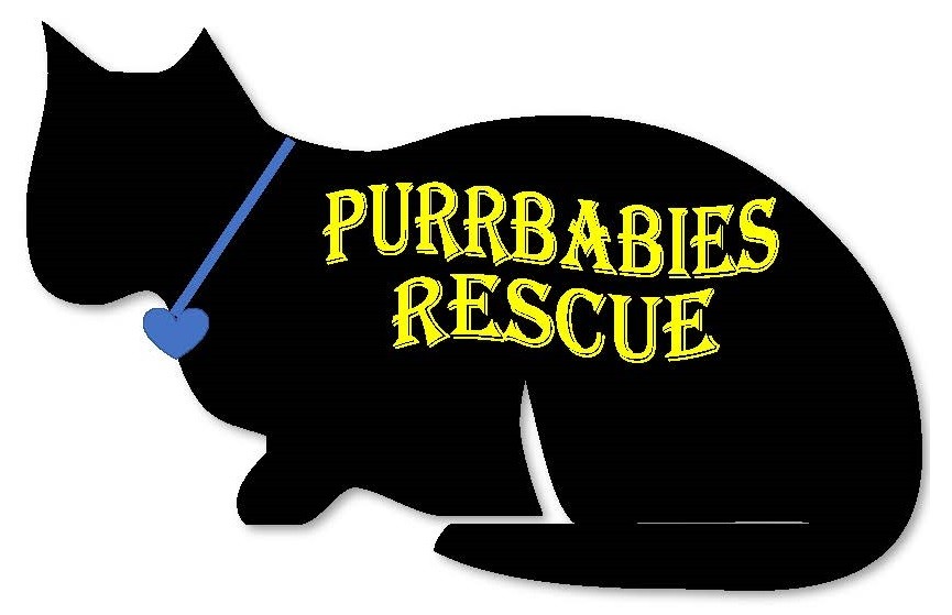 PurrBabies Rescue