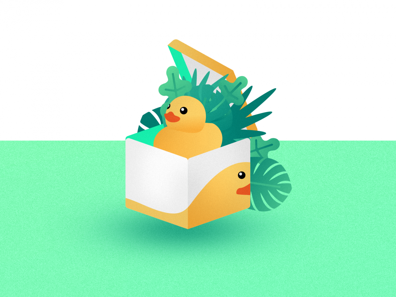 Molly's Box of Quackers!