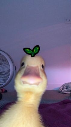 Los Patos Indomables
