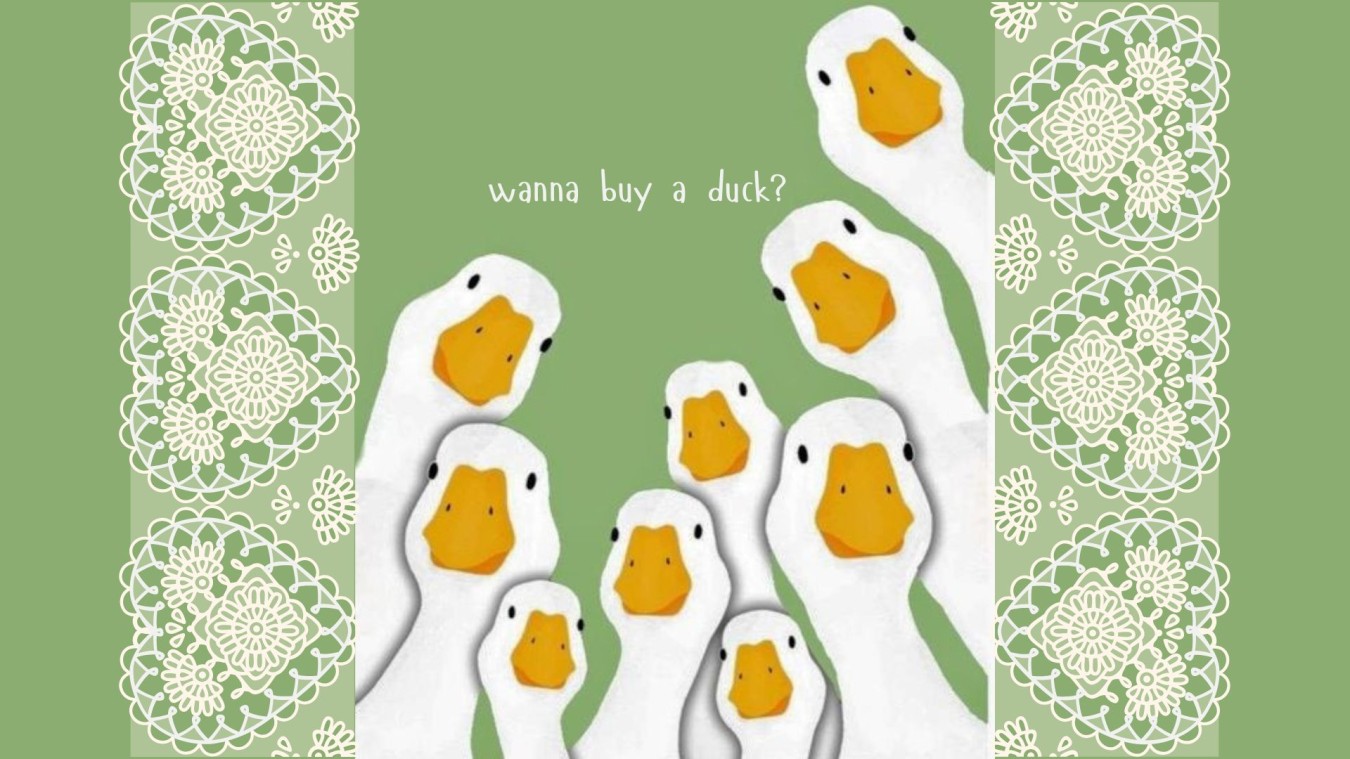 Ma-Deez Ducks